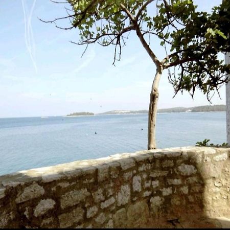 Apartment Giulio - 10Mt To The Beach Rovinj Zewnętrze zdjęcie