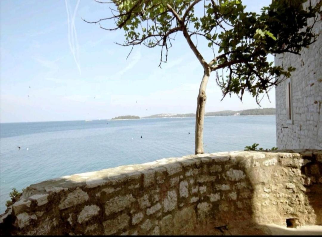 Apartment Giulio - 10Mt To The Beach Rovinj Zewnętrze zdjęcie