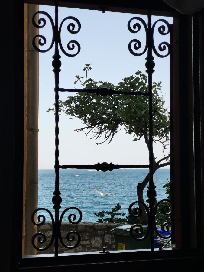 Apartment Giulio - 10Mt To The Beach Rovinj Zewnętrze zdjęcie