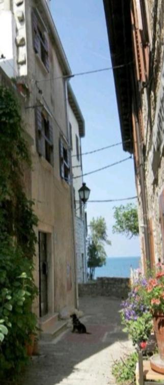 Apartment Giulio - 10Mt To The Beach Rovinj Zewnętrze zdjęcie
